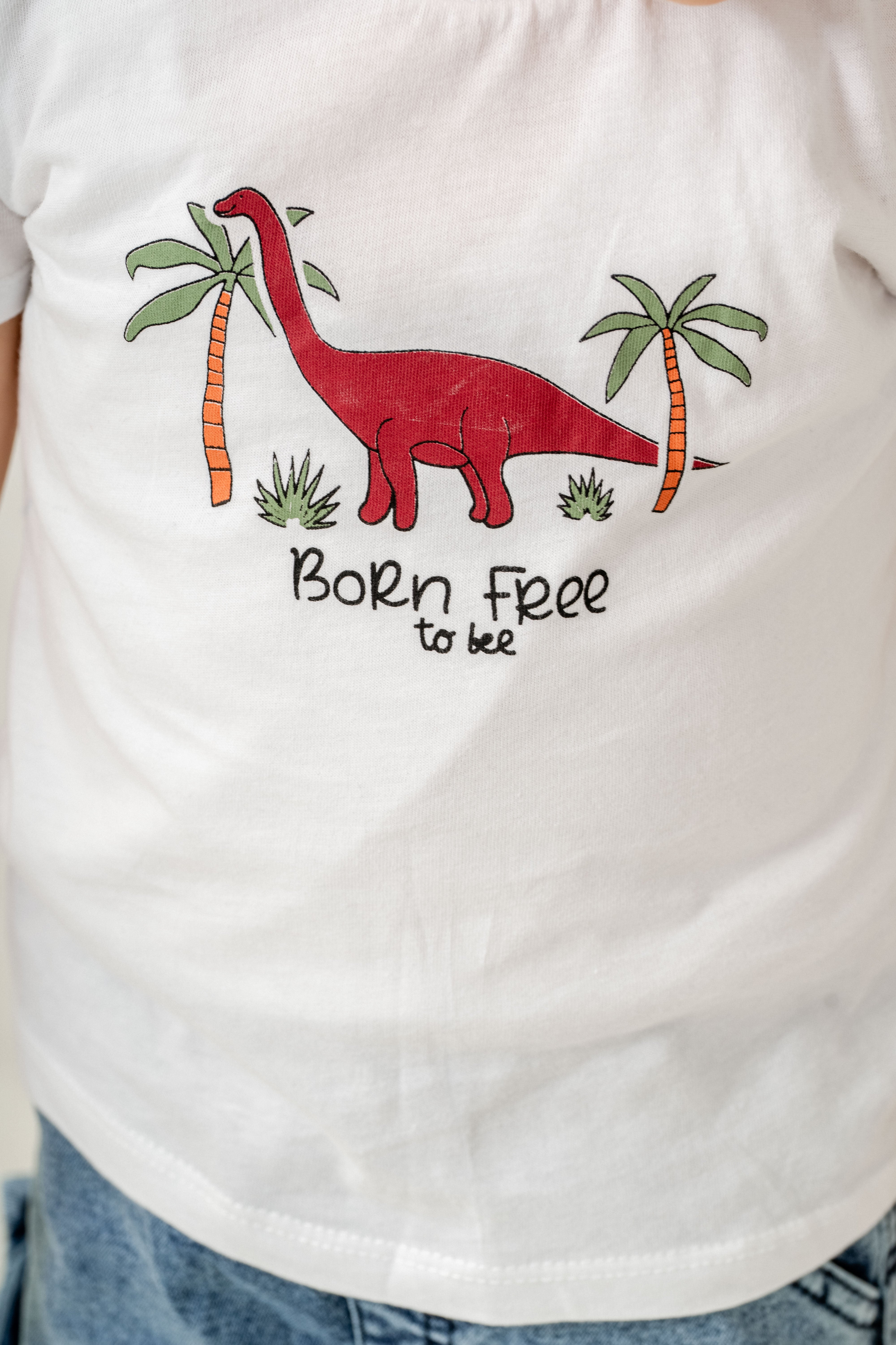 Erkek Bebek Takım Dinozor Desenli Rüzgarlık Ceket Baskılı Tişört ve Cepli Jogger Kot Pantolon Kombini 9-24 Ay